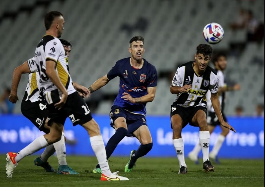 A-League Round 12 Opener: Adelaide United's Towering Striker in Red-Hot Form, Macarthur's Confidence Rebounding-2