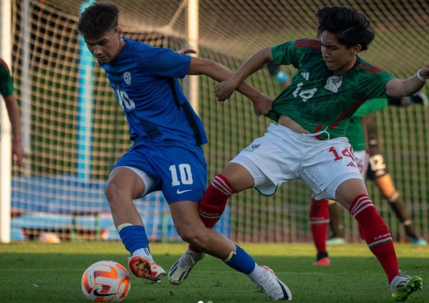 Inter Milan's "New Ilicic" Impresses in Training Amid National Team Tug-of-War: Ambition or Folly?-2